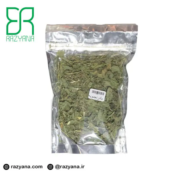 گیاه بادرنجبویه