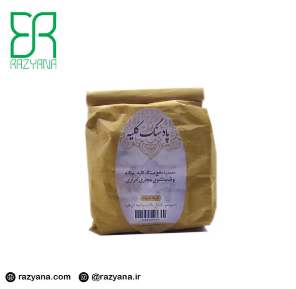 پاد سنگ کلیه