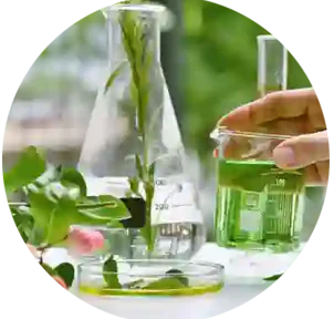 promotion-categories