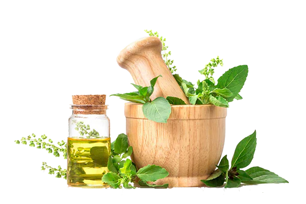 promotion-categories